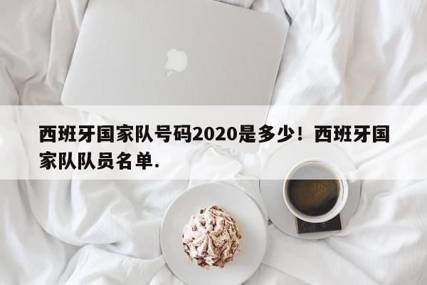 西班牙国家队号码2020是多少！西班牙国家队队员名单.